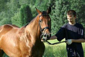 Youth and horse